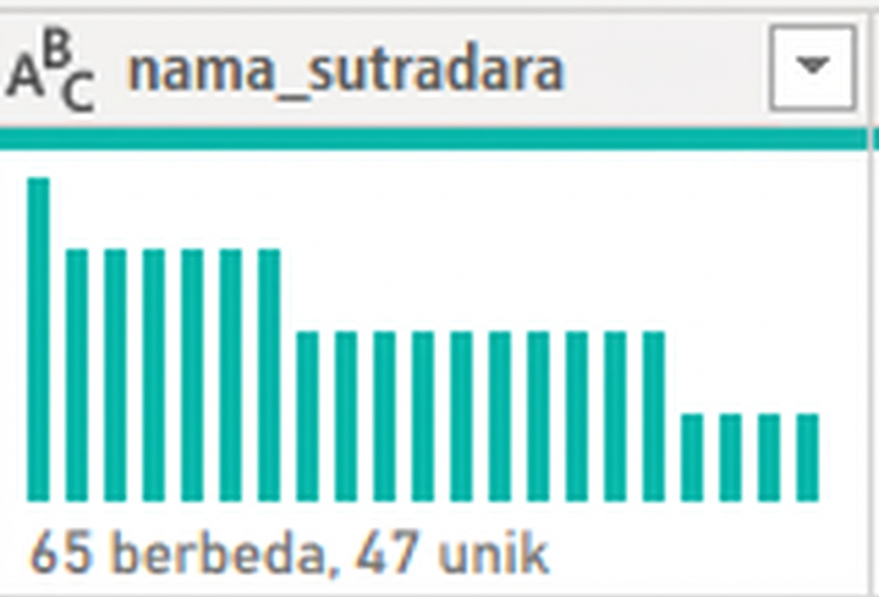 Tangkapan layar keluaran fitur distribusi kolom.