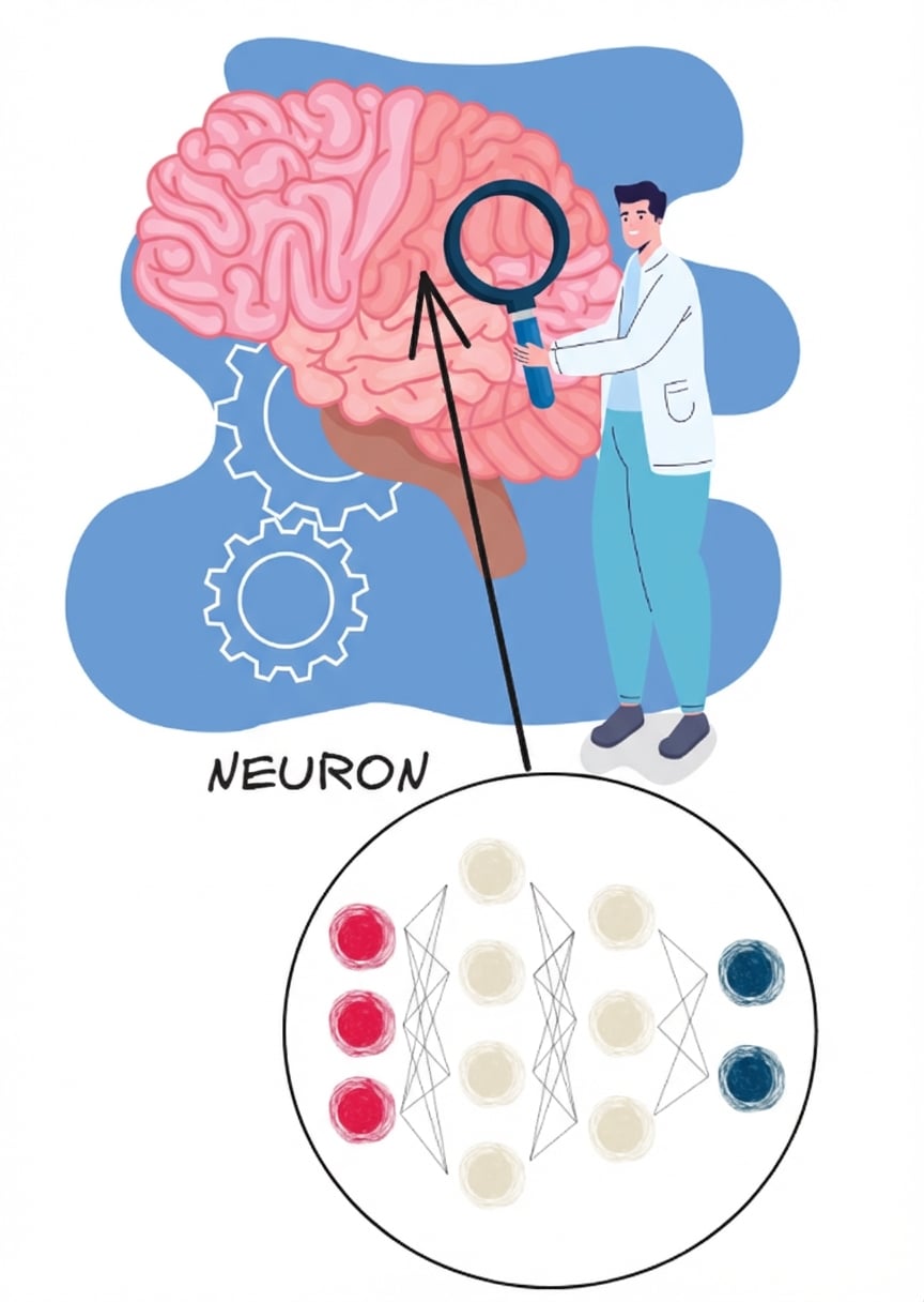 Ilustrasi seseorang mempelajari otak, menyorot neuron