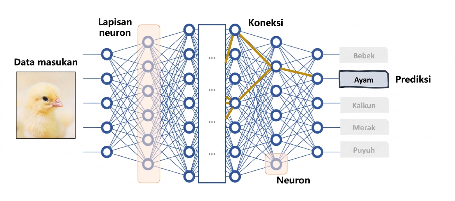 Deep neural network sebagai model kotak hitam