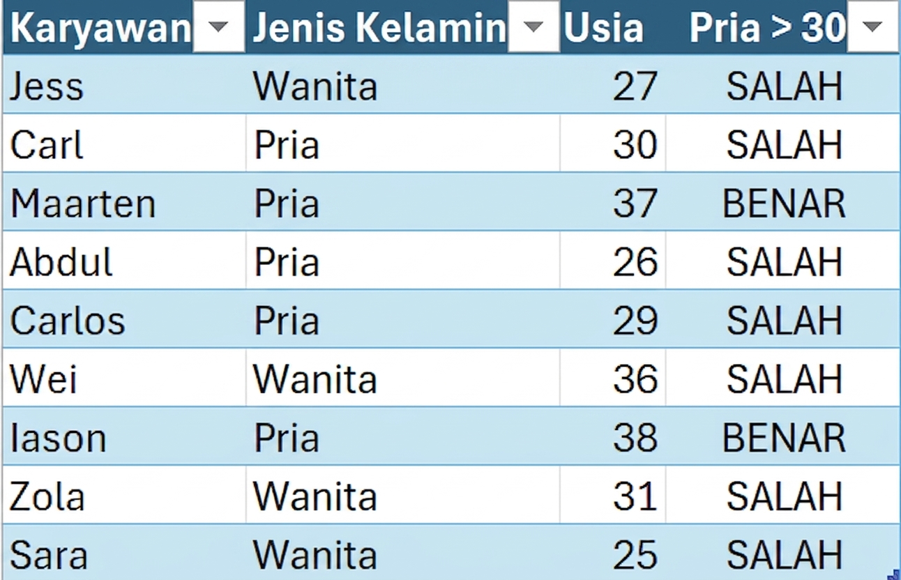 Tabel sampel DataCo dari HR yang menunjukkan nama depan karyawan, jenis kelamin, usia, dan kolom yang dibuat menggunakan rumus kondisional.