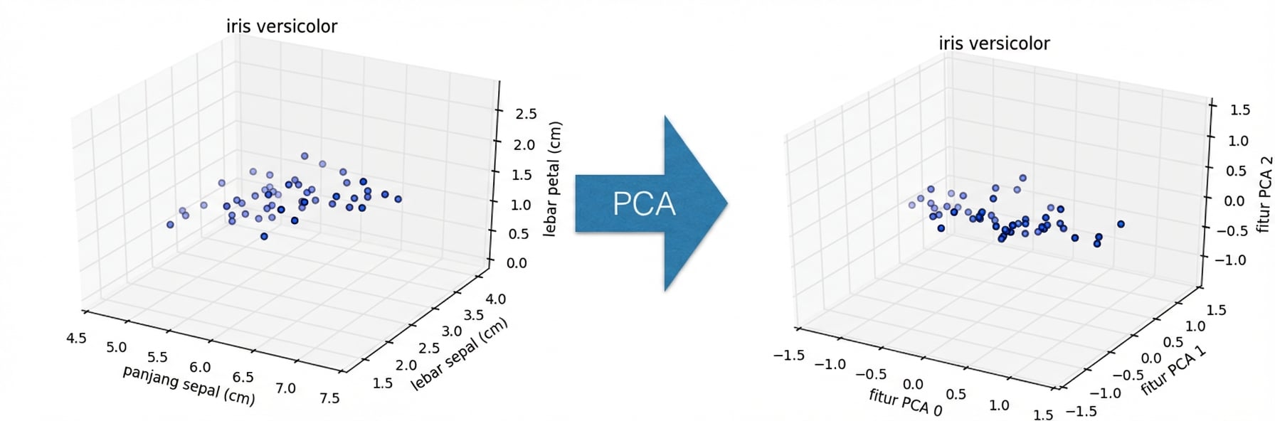 Titik versicolor terotasi diplot dalam ruang 3D: PC1 vs PC2 vs PC3