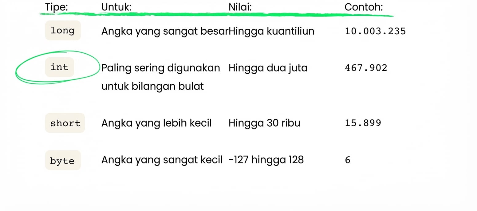 int paling sering digunakan