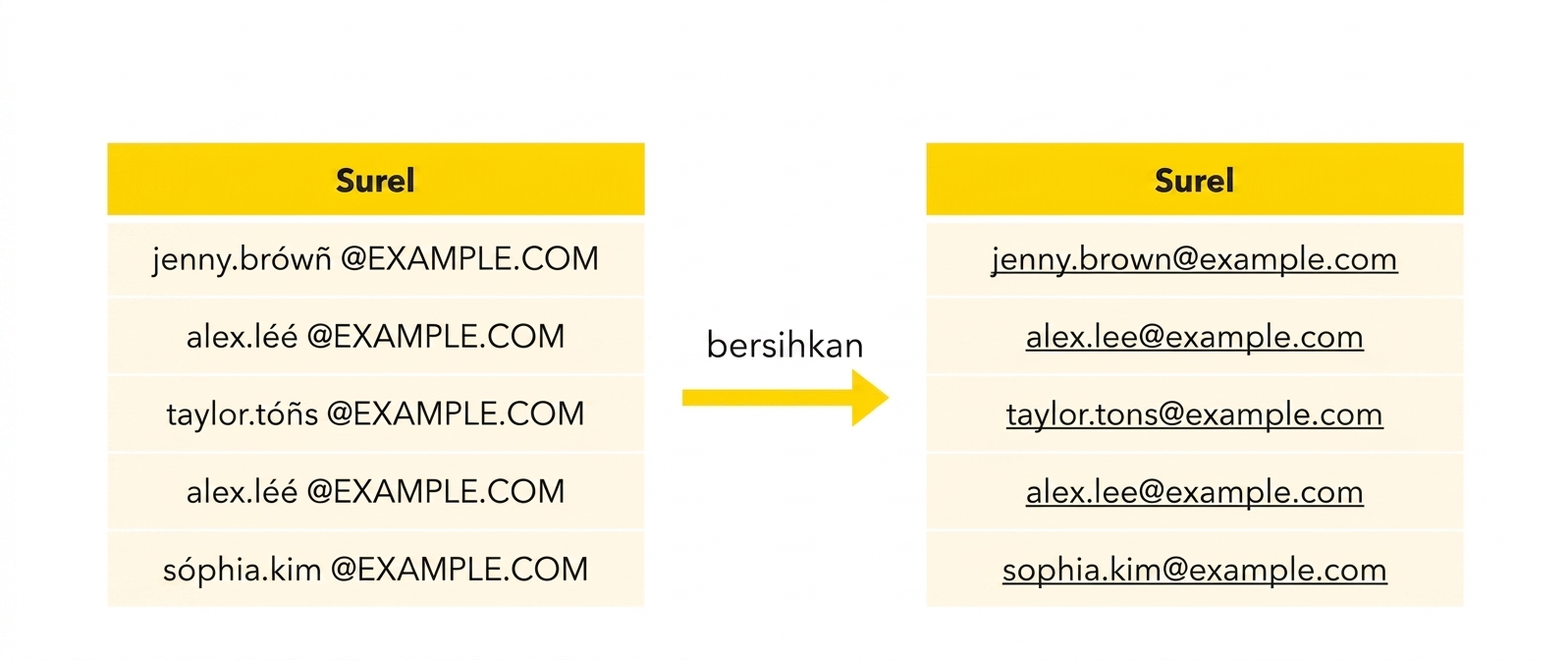 Email dibersihkan