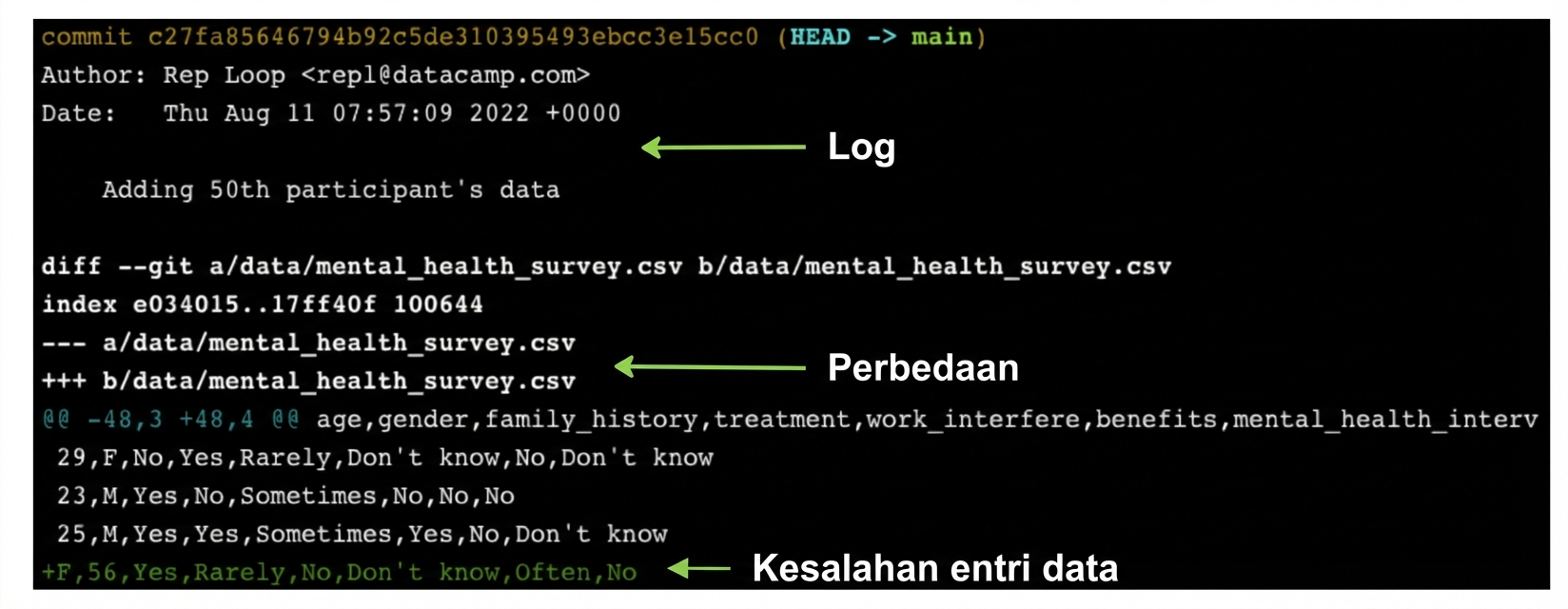 Keluaran git show menampilkan keluaran git log di atas dan git diff di bawah, dengan entri data yang salah di bagian bawah