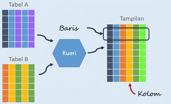 Diagram View