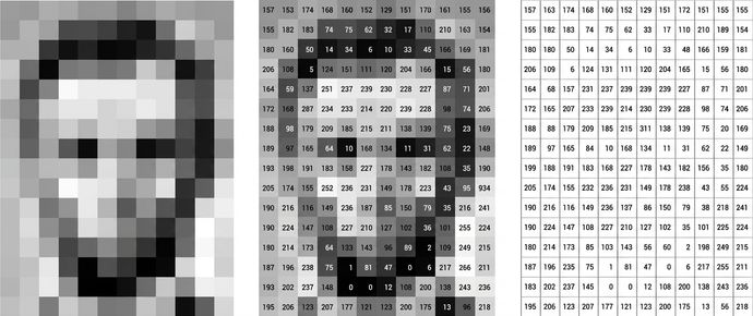 Matrice di intensità dei pixel dell'immagine