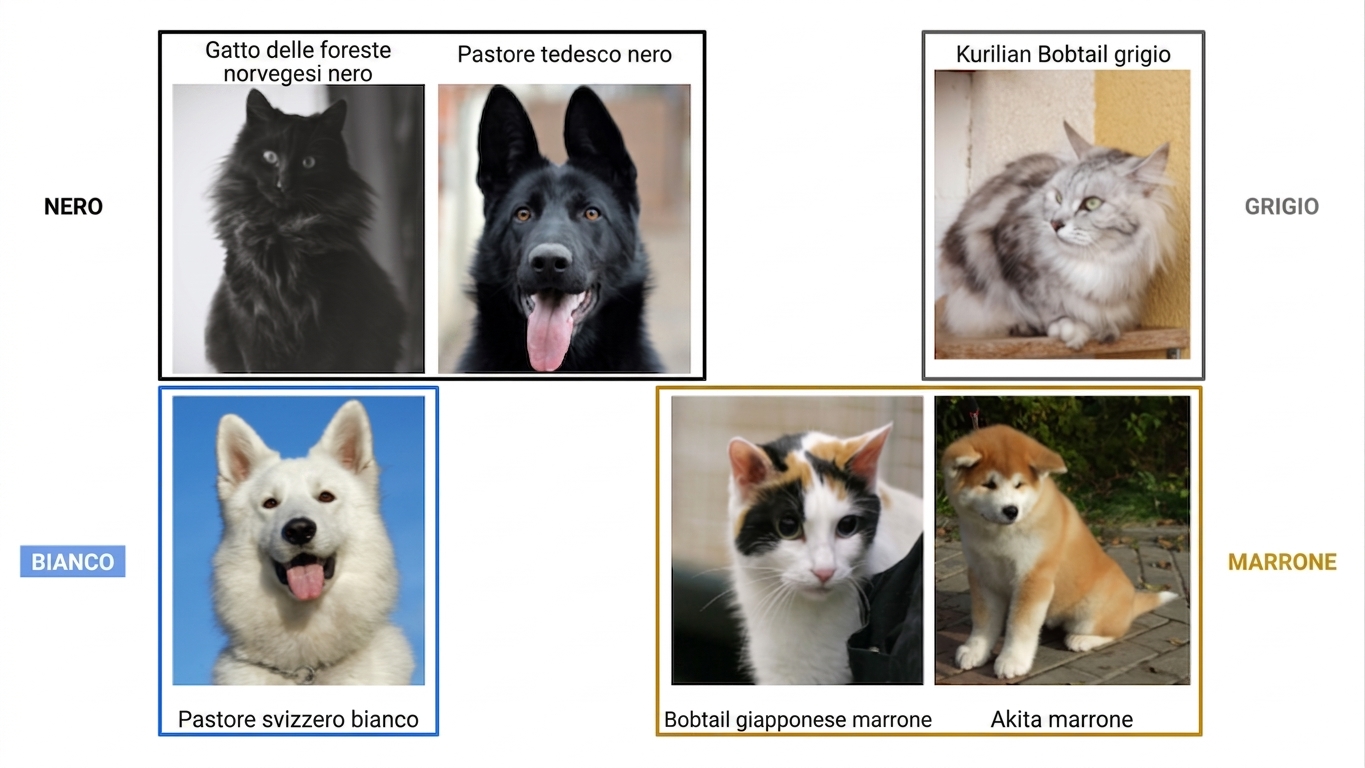 cani e gatti per colore