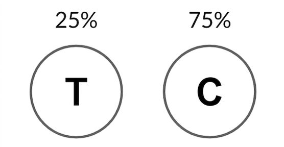 Immagine di testa con probabilità 25% e croce con probabilità 75%
