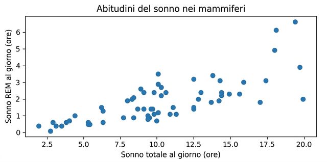 Diagramma a dispersione delle abitudini di sonno dei mammiferi: ore di sonno totali vs ore di REM al giorno