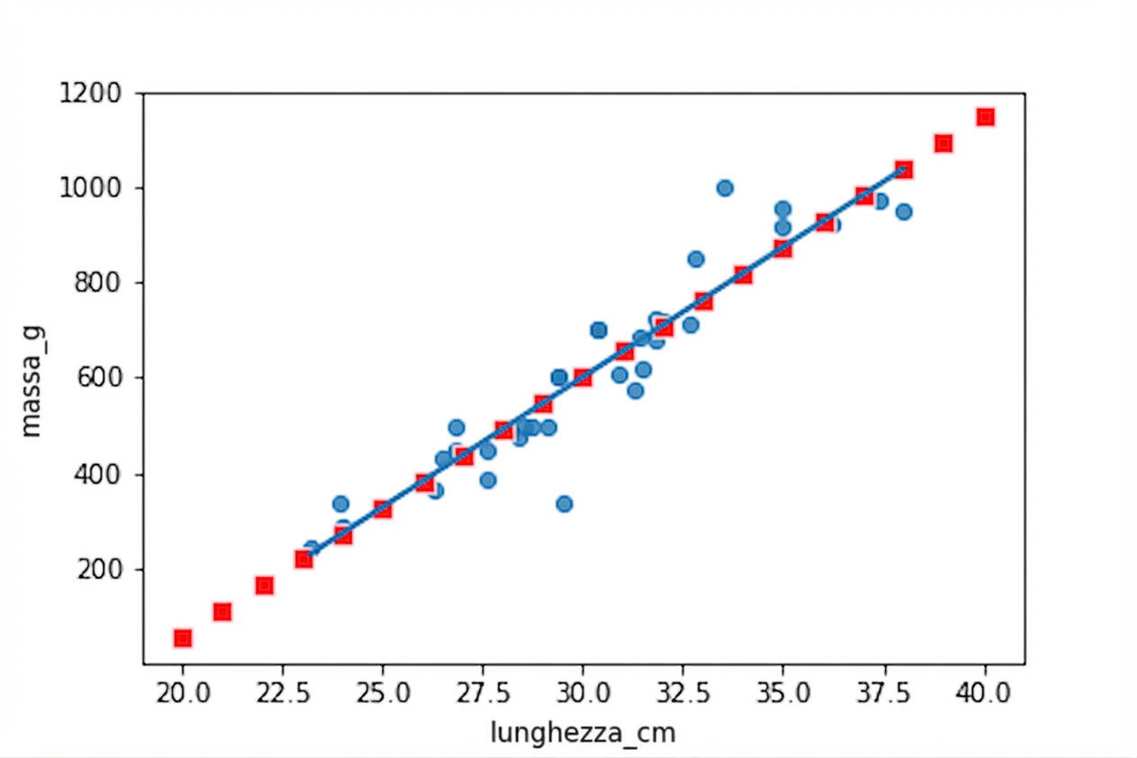 Lo scatter plot delle masse delle breme rispetto alla lunghezza, con una retta di tendenza. Il grafico è annotato con i punti calcolati con predict(), che cadono esattamente sulla retta.