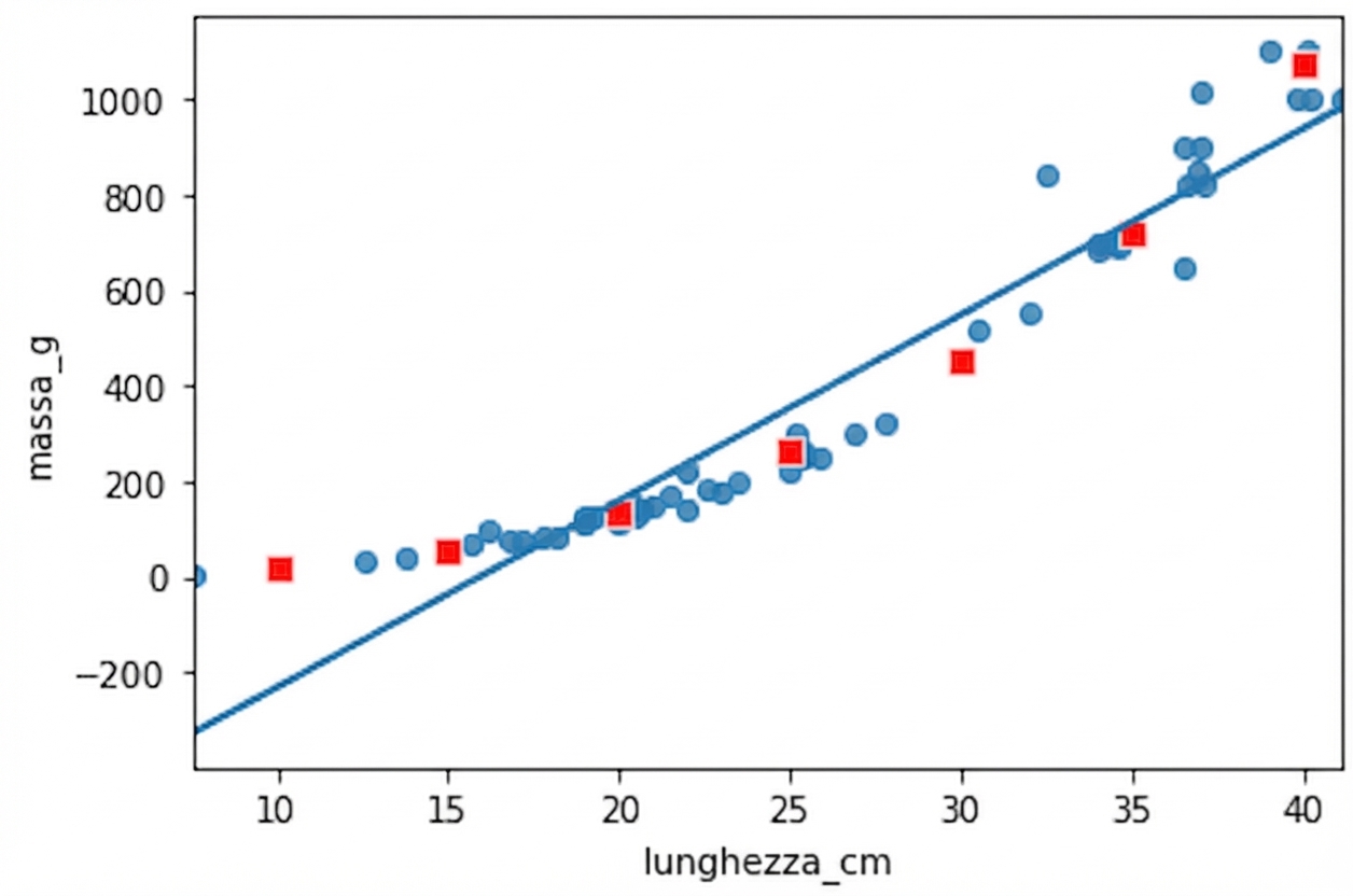 Lo scatter plot di massa vs lunghezza, con linea di tendenza, annotato con punti calcolati da predict(). I punti non seguono la linea ma seguono la curva dei dati.