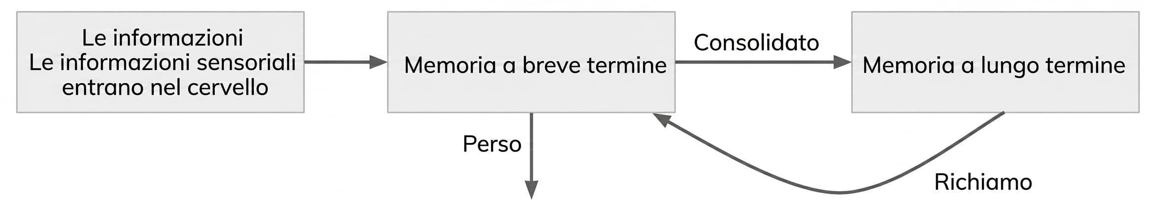 Come funziona la memoria a breve termine