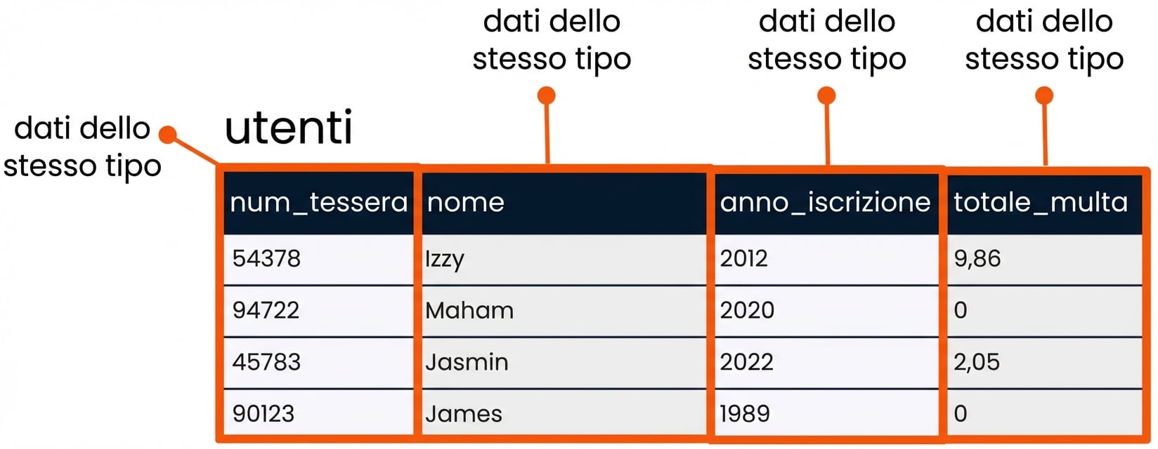 la tabella patrons con ogni campo evidenziato e indicato come singolo tipo di dato