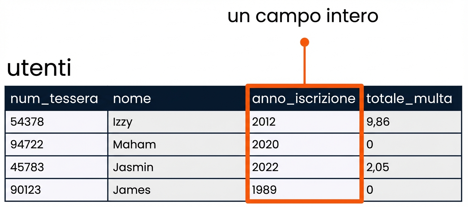 la tabella patrons con il campo member_year evidenziato come esempio di intero