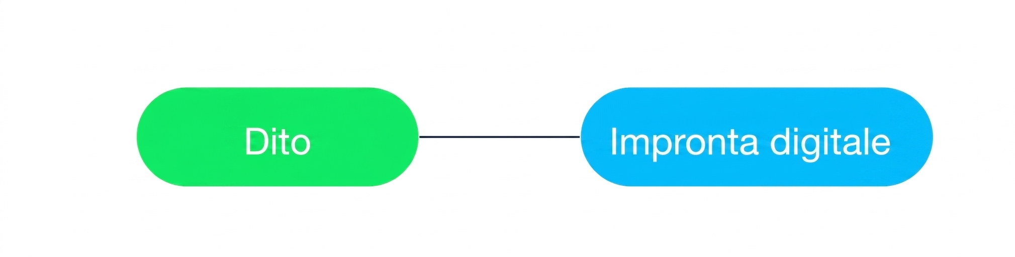 Un diagramma che mostra che un’impronta digitale può essere associata a un solo viaggiatore.