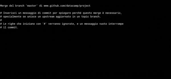 git_pull_nano_editor.gif