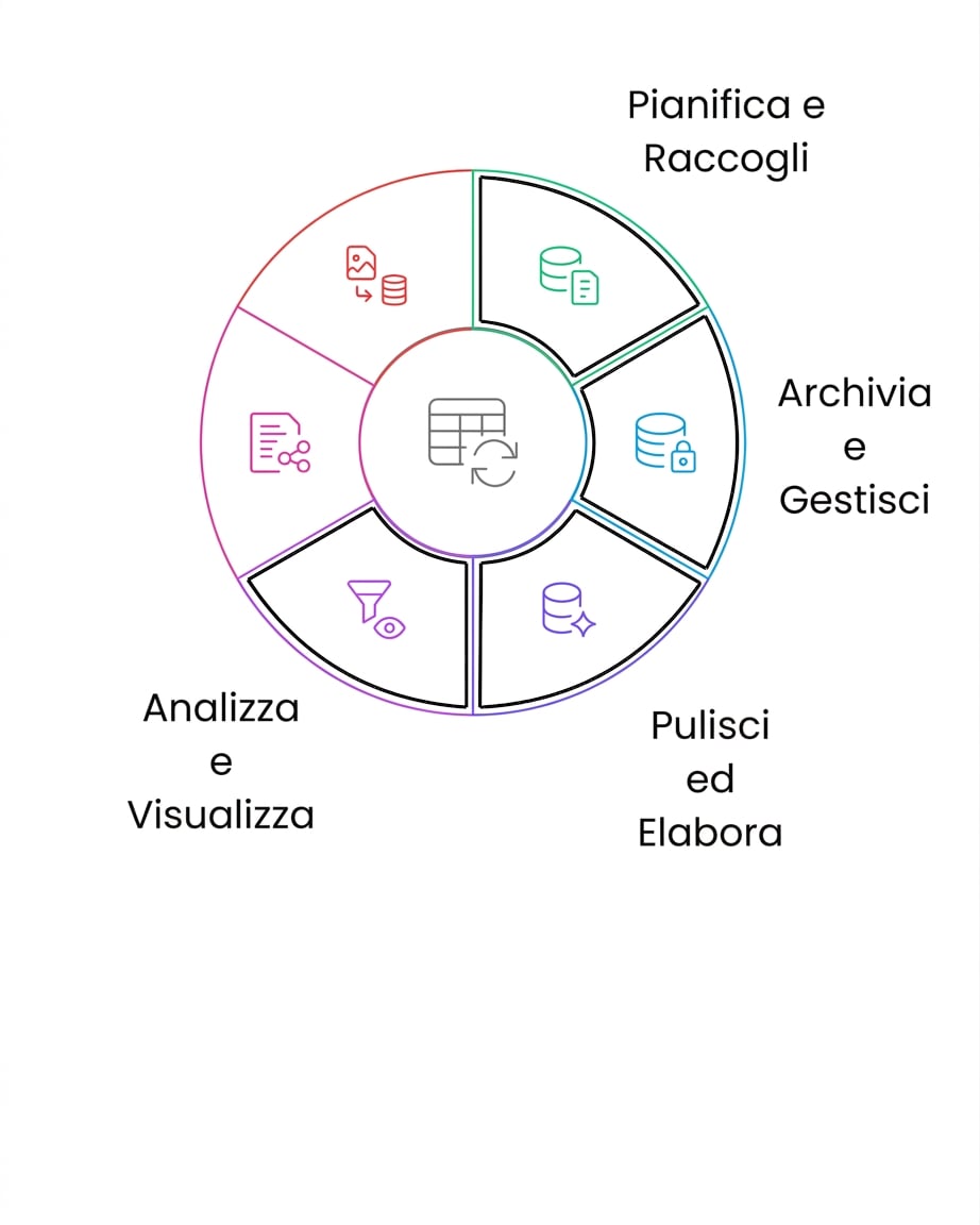 ciclo di vita dei dati: analizza e visualizza