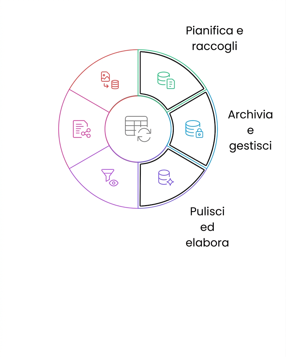 ciclo di vita dei dati: pulisci e elabora