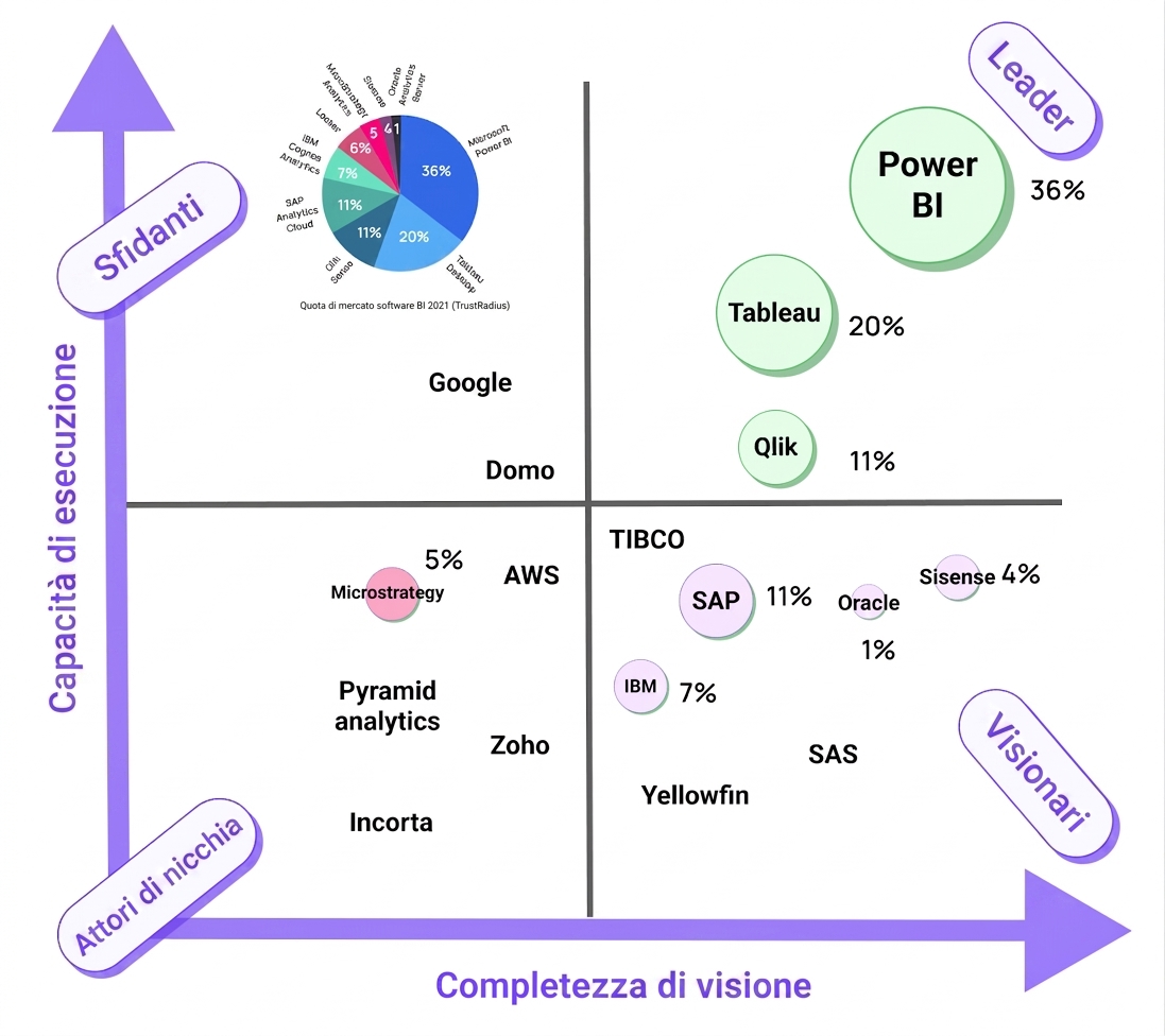 BI Software