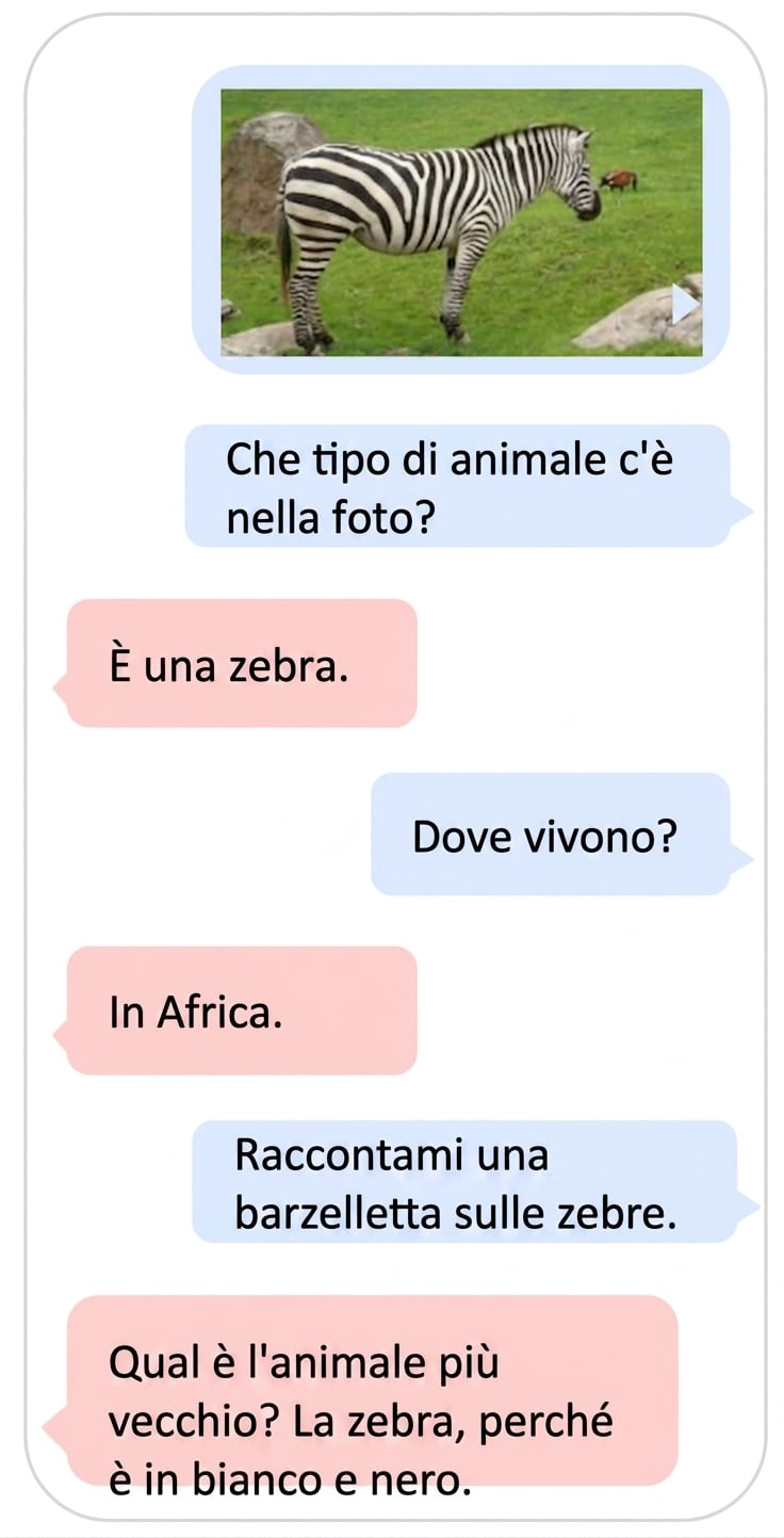 Esempio multimodale di un LLM che usa testo e immagini
