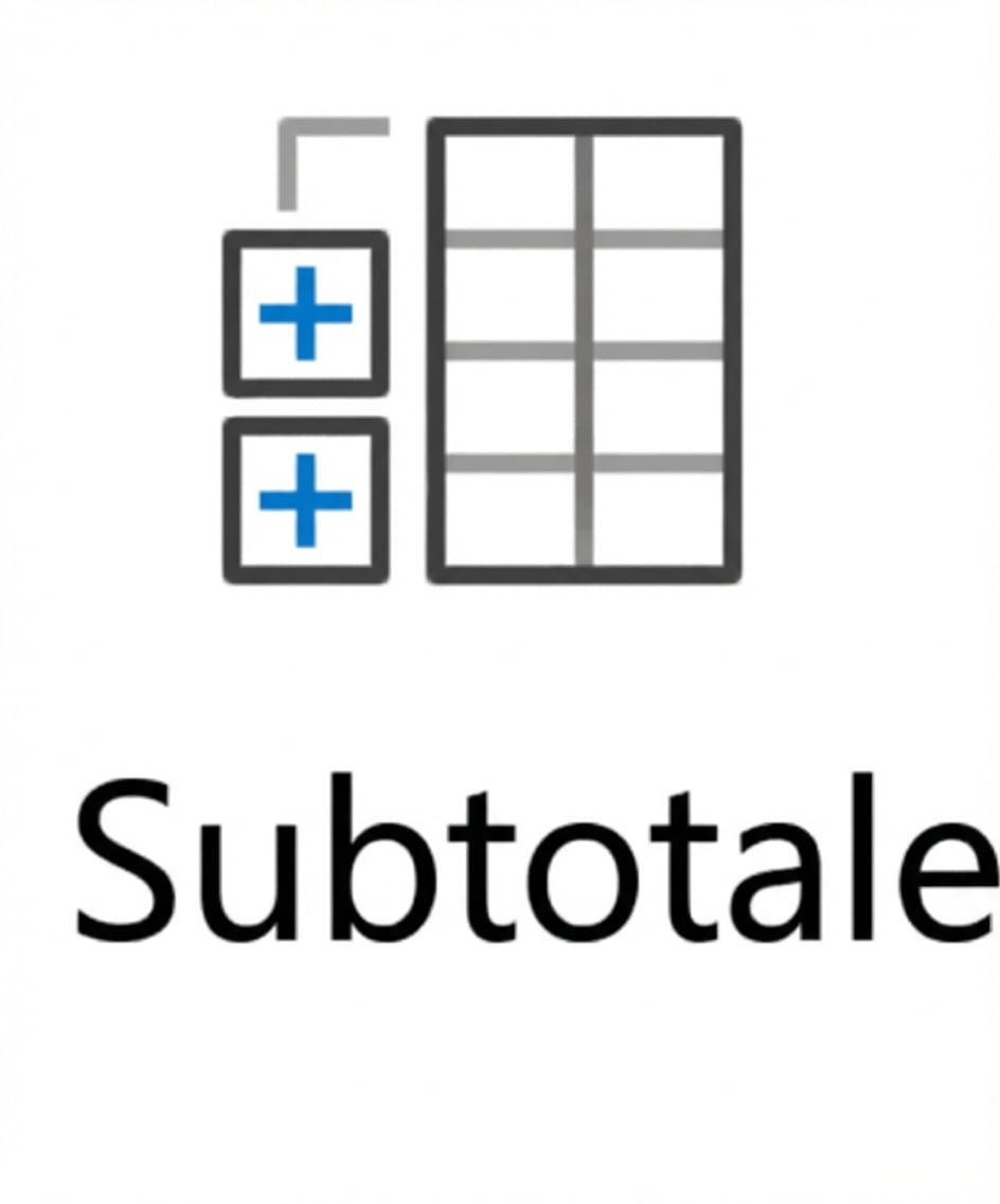 Immagine del pulsante Subtotale in Excel.