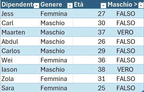 DataCo sample table from HR showing the employee first name, gender, age, and the column created using a conditional formula.