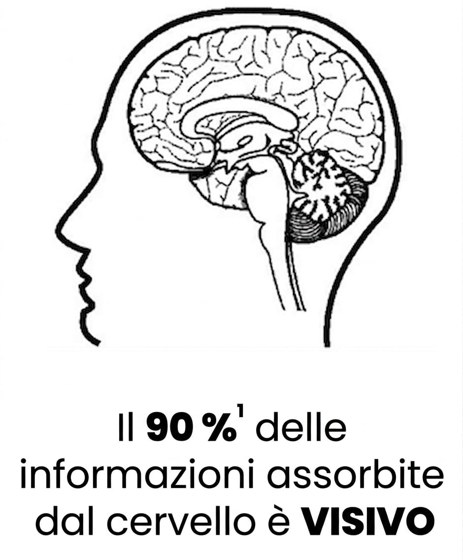 Immagine di un cervello umano