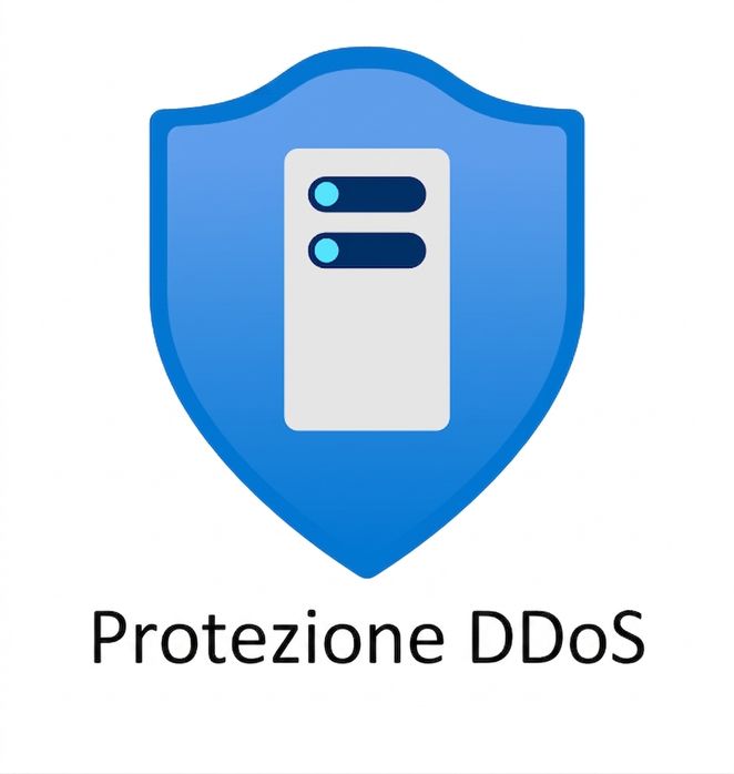 scudo blu con la scritta ddos protection sotto