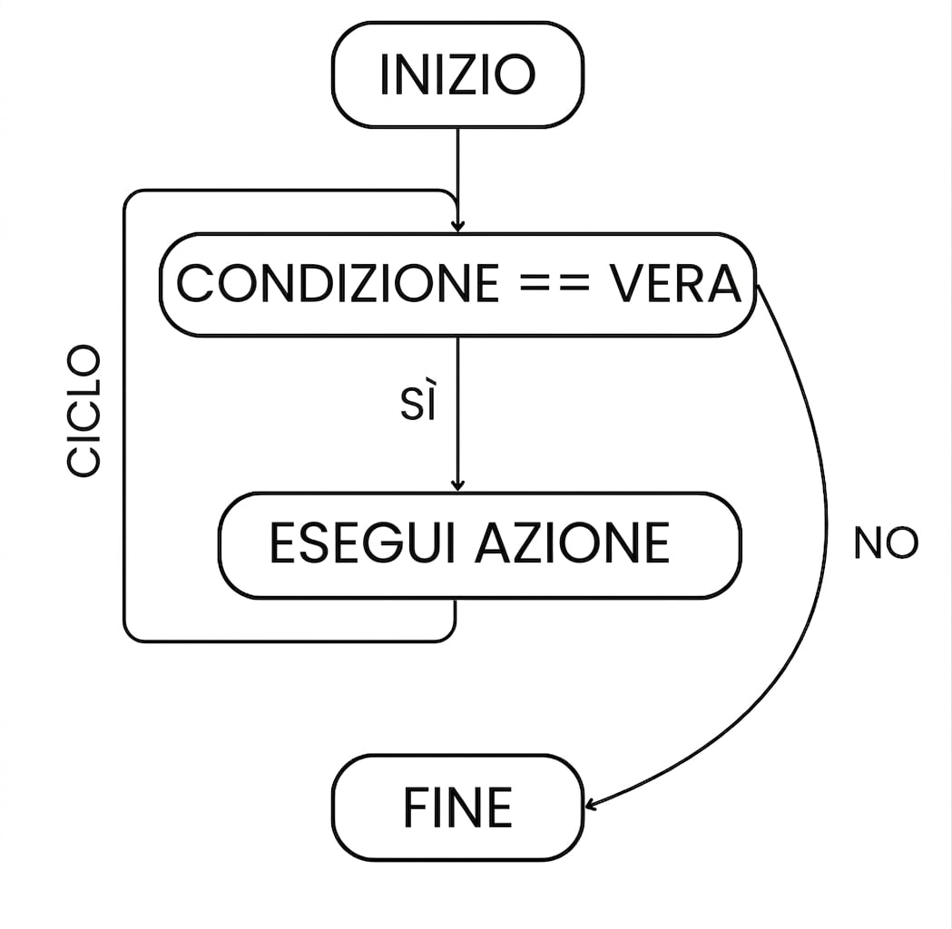 Flusso di un while: start > condizione vera > esegui azione > loop > ripeti finché la condizione non è più vera