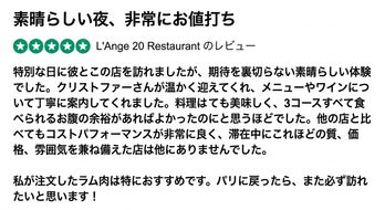 レビューデータの例