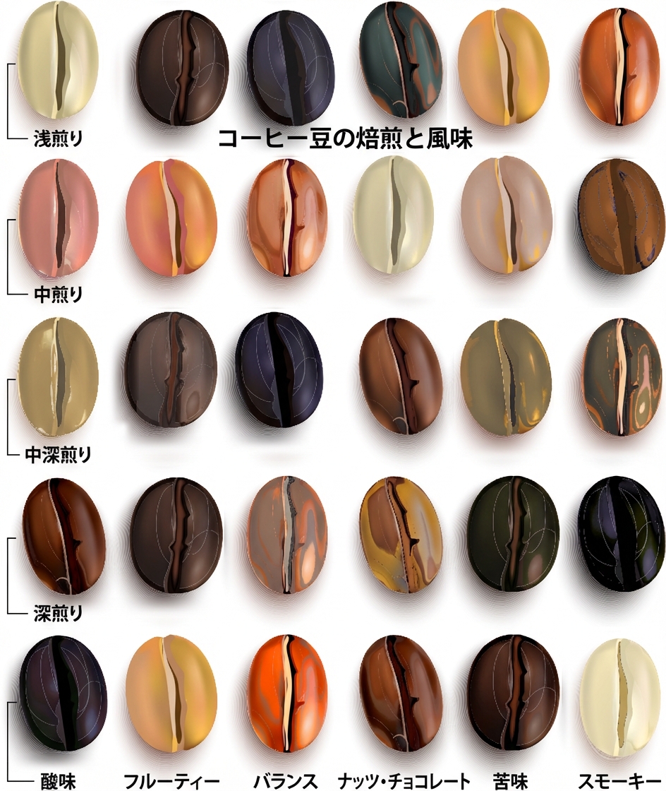 行と列に並べられたコーヒー豆。