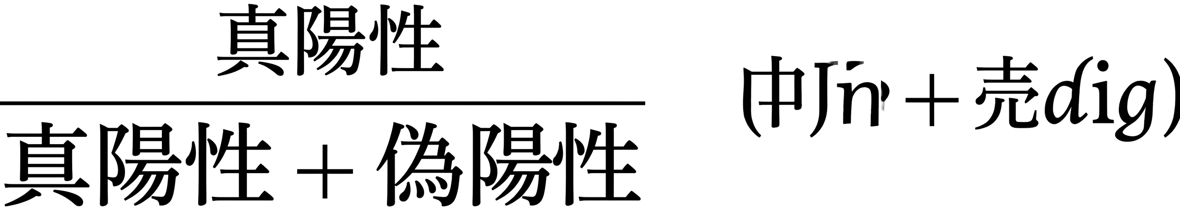 精度_式.png