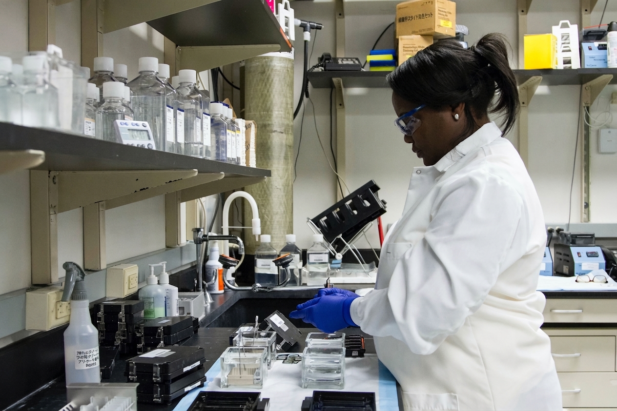 scientist_in_laboratory.jpg