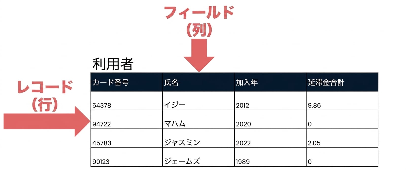 レコードとフィールドが識別されたpatronsテーブル