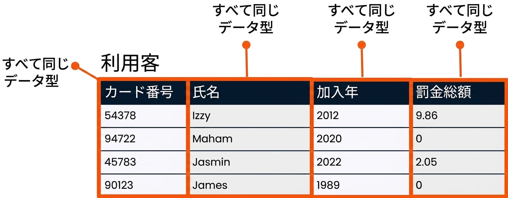 各フィールドが強調表示され、それぞれが1つのデータ型であることを示したpatronsテーブル