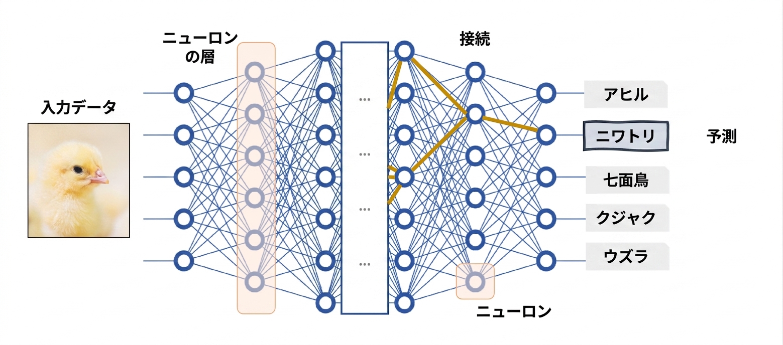 ブラックボックスモデルとしてのディープニューラルネットワーク