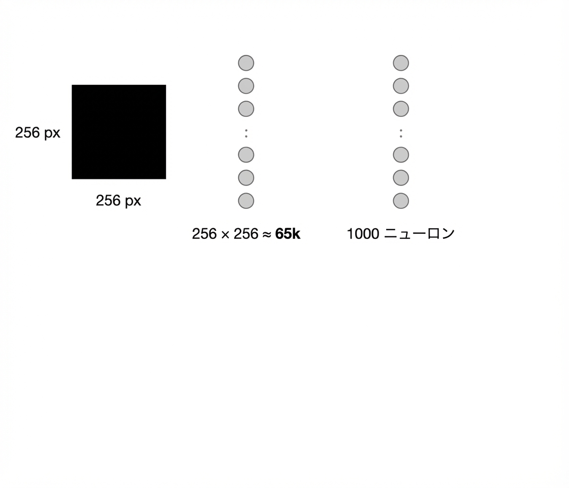 6.5万ピクセル値を1000個のニューロンの全結合層で処理。