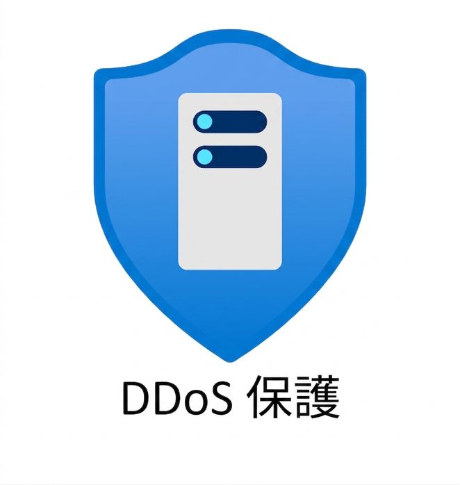 青い盾と「ddos protection」の文字