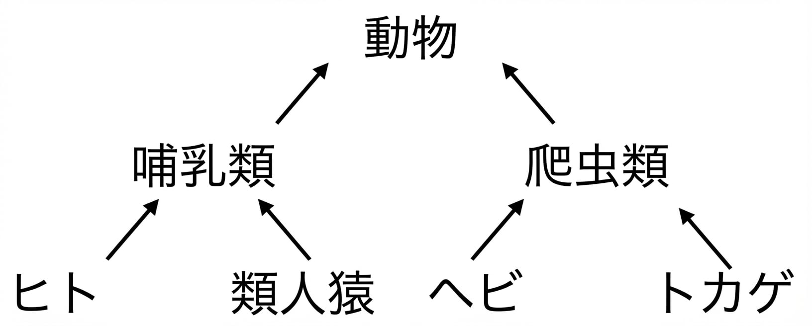 動物の階層ツリー