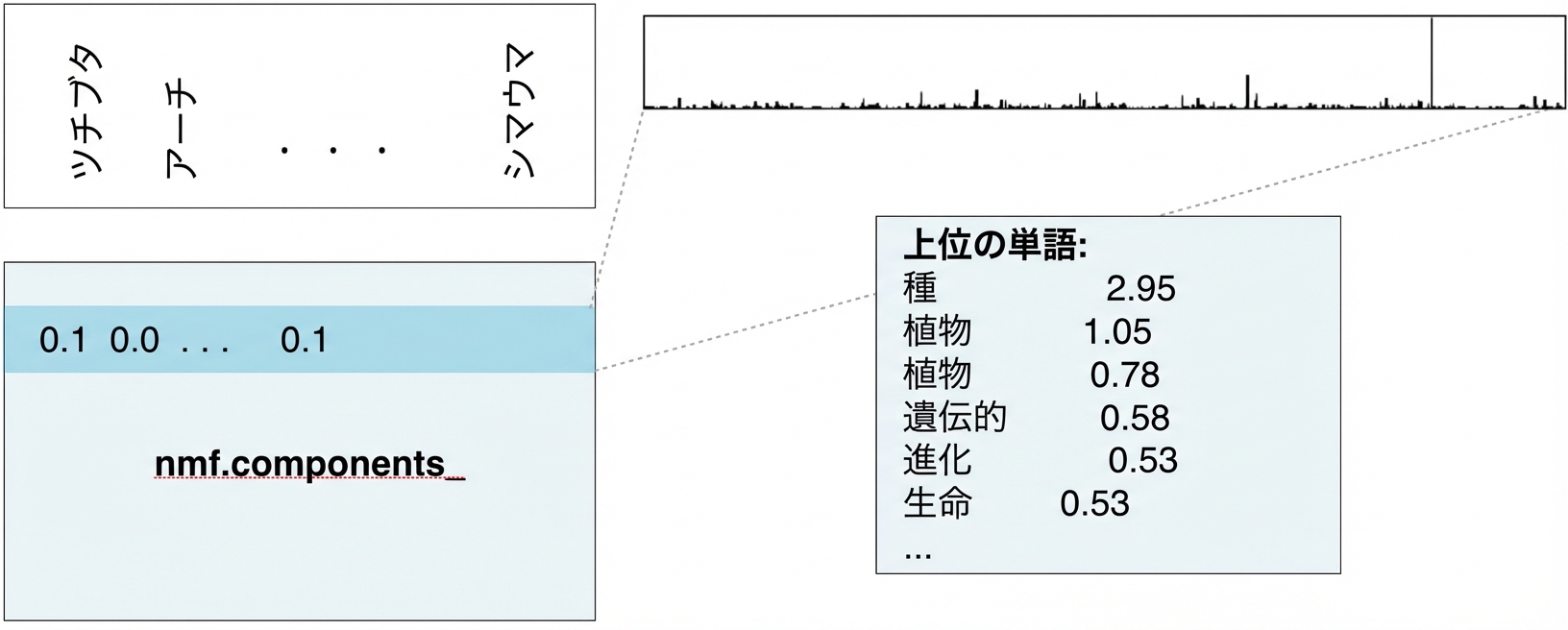 上位語と値のボックス:species 2.95、plant 1.05、plants 0.78 など