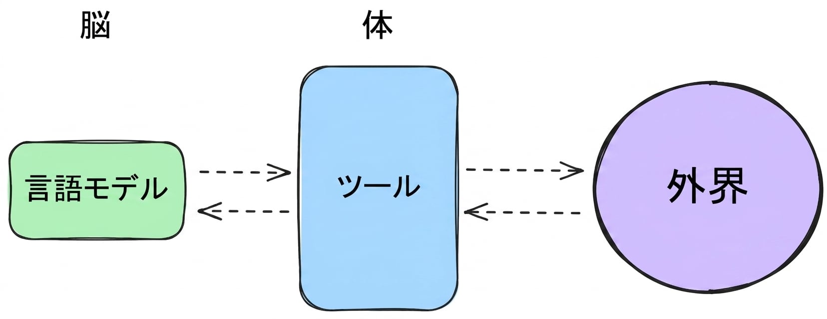 brain_body