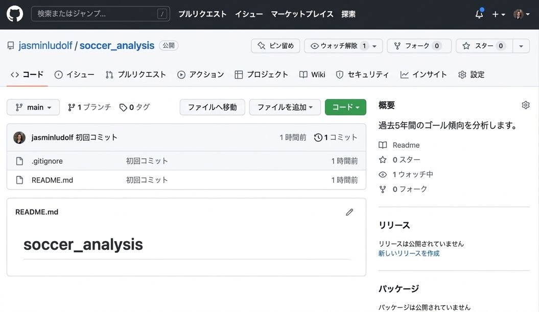 サッカー分析リポジトリのビュー