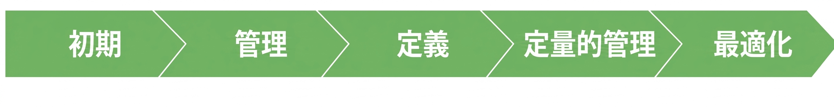 IBM データ成熟度モデル