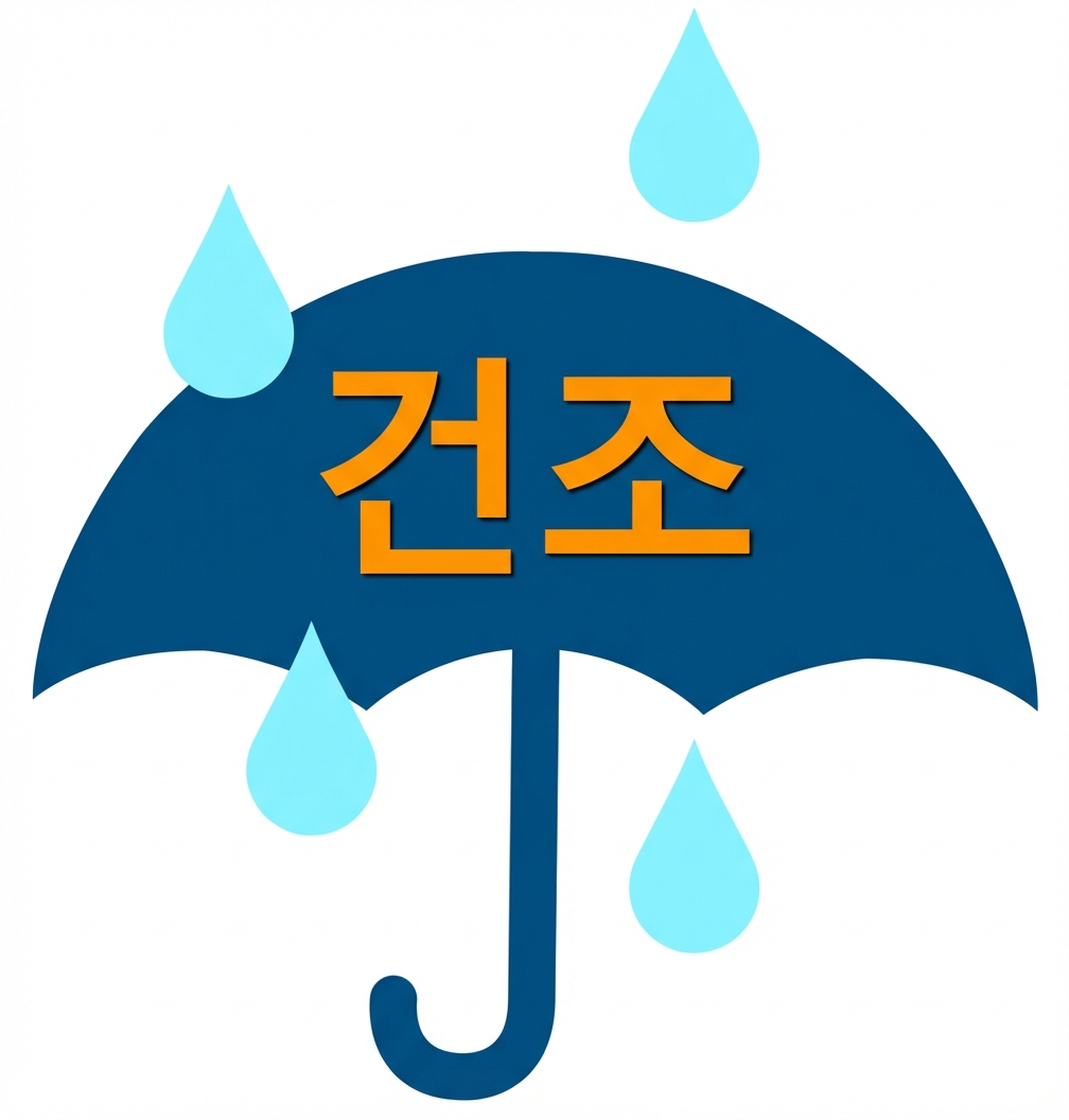 DRY 우산