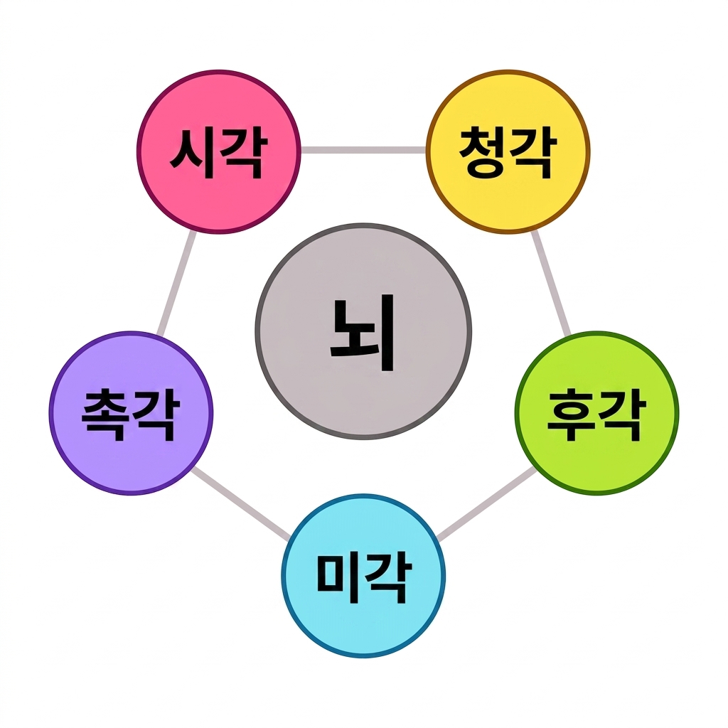감각