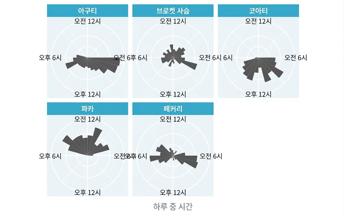 파나마 카메라 트랩 데이터 세트의 동물 활동 장미 그래프