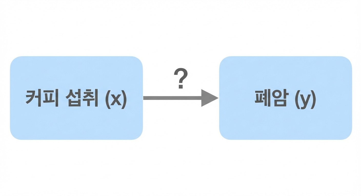 커피 섭취(x) → 폐암(y)
