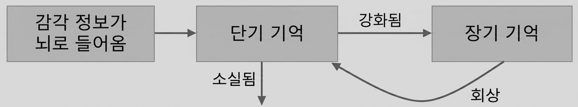 단기 기억이 작동하는 방식
