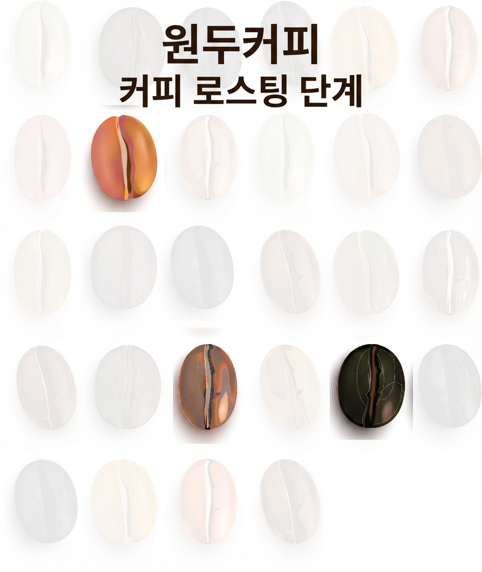 행과 열로 배열된 커피 원두, 그중 세 개만 강조됨.