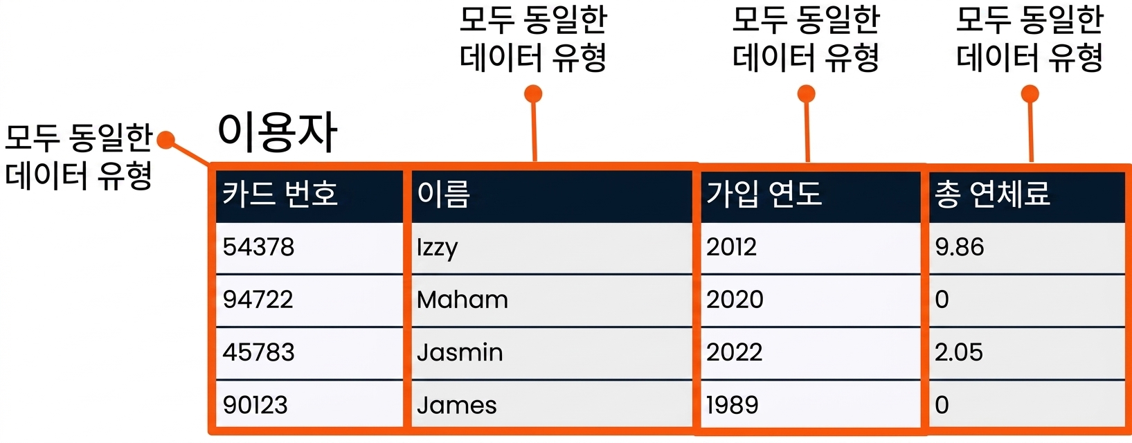 각 필드가 강조 표시되고 각 필드가 하나의 데이터 유형임을 나타내는 patrons 테이블
